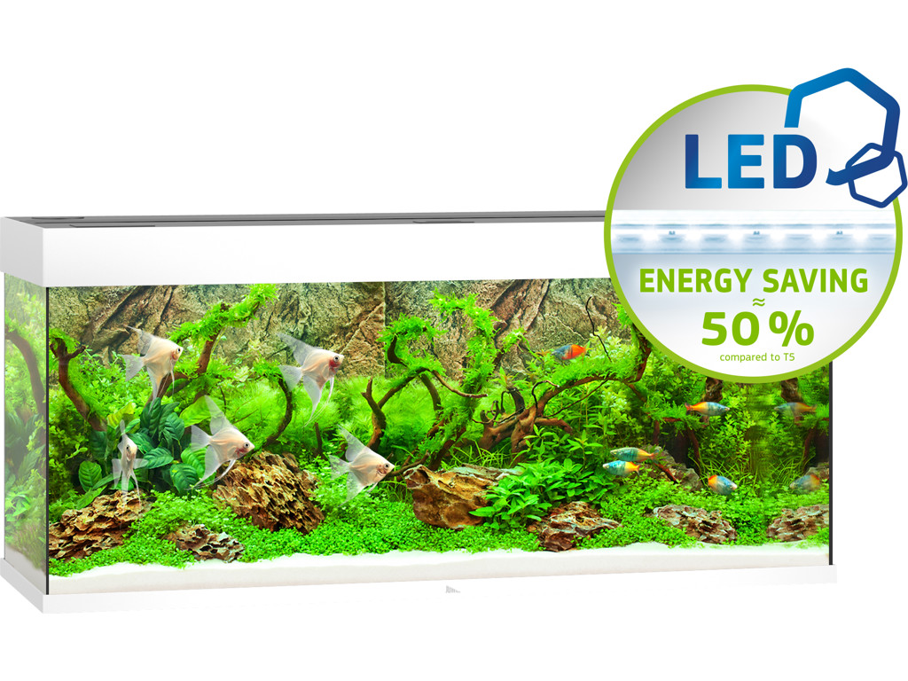 JUWEL RIO 240 LED AKVARIE HVID