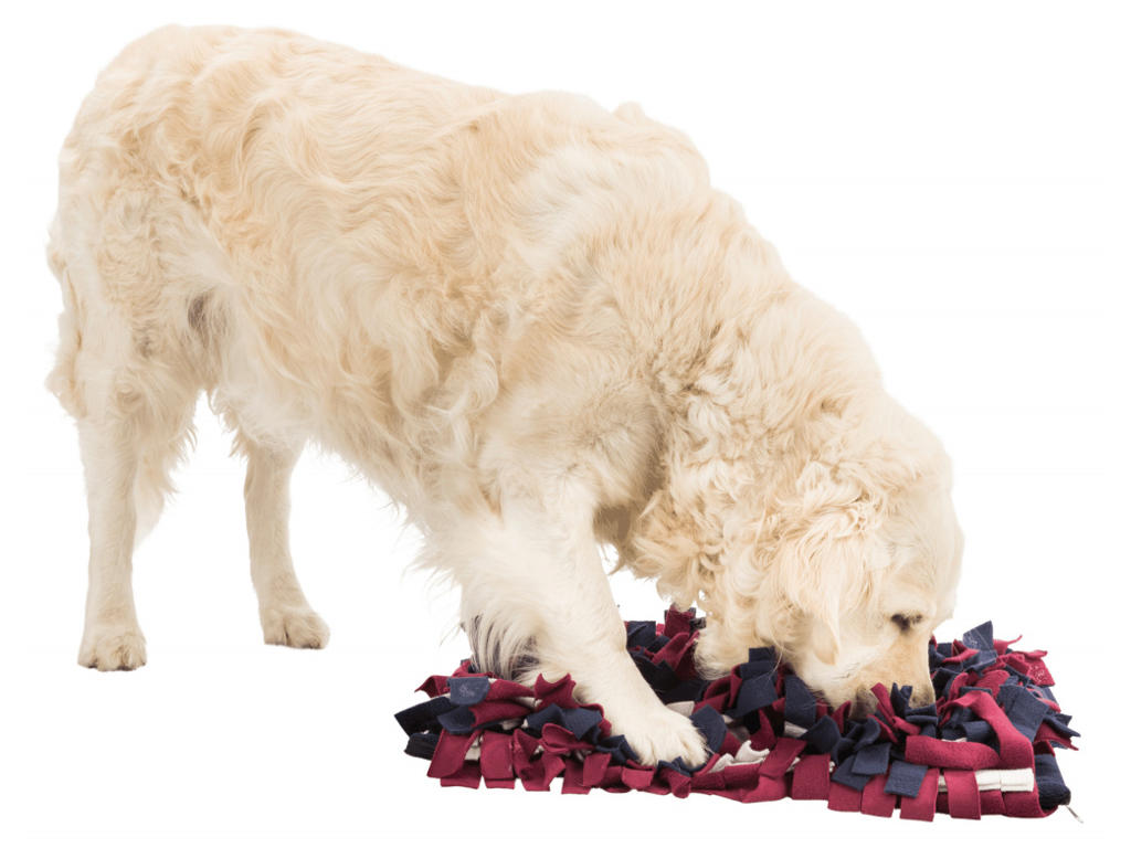 Activity Snuse tæppe, 50 × 34 cm