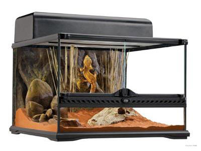 ExoTerra terrarium 45 x 45 x 30 cm.