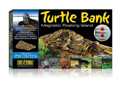 ExoTerra Turtle bank 29.8 x 17.8 x 5.4 cm. 
Medium