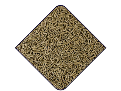 Witte Molen Expert Rabbit Pellets 20 kg – Kaninfoder 16% Protein | Avl & Daglig Fodring