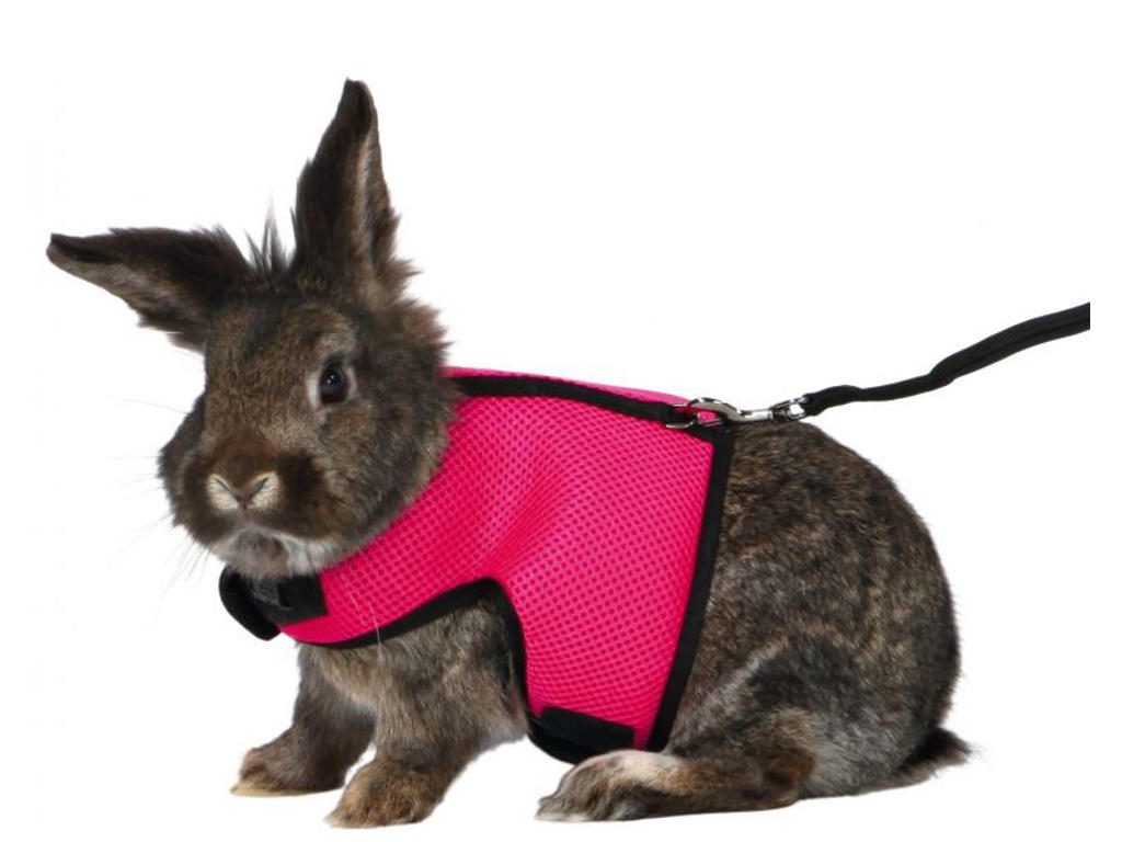 Soft sele m. line, t. stor kanin, 25–40 cm, 1.20m