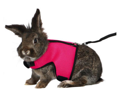 Soft sele m. line, t. stor kanin, 25–40 cm, 1.20m