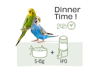 Witte Molen PUUR Budgie Undulatfoder 2,25 kg – Premium Frøblanding med Hørfrø, Æble og Vitaminer