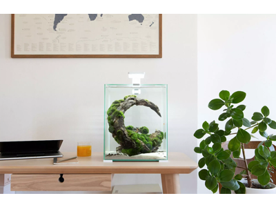 Rejeakvarie 19 l D/N  -hvid