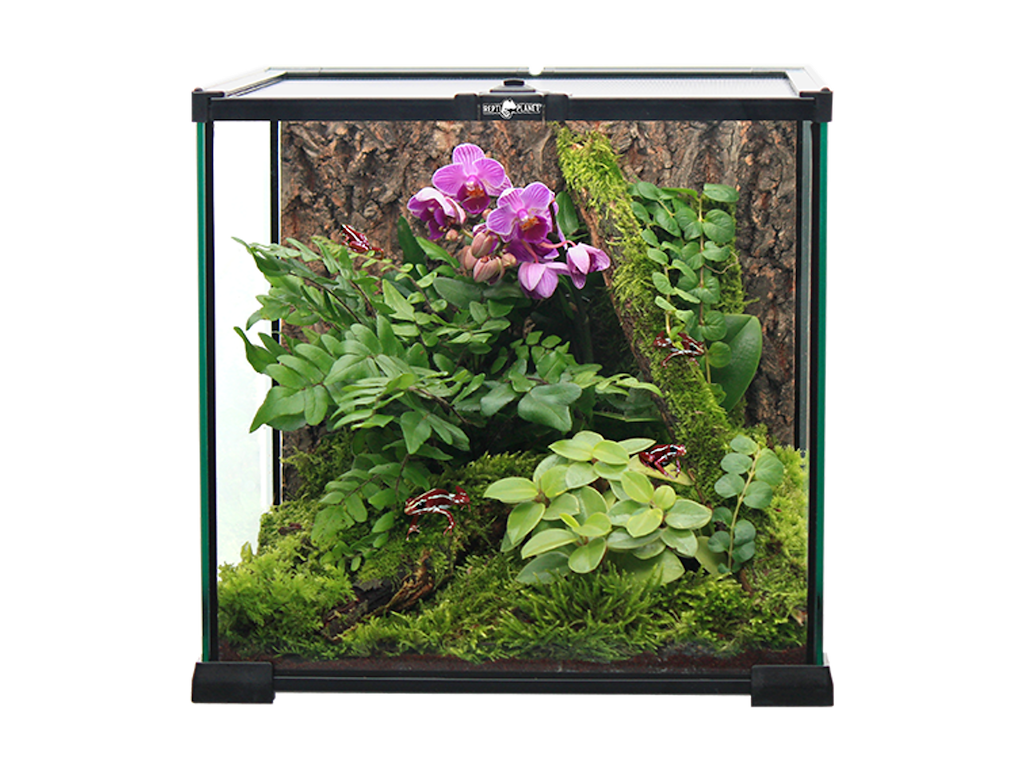 ReptiPlanet Glasterrarium 20 x 20 x 20 cm – 6 stk.