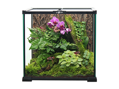 ReptiPlanet Glasterrarium 20 x 20 x 20 cm – 6 stk.