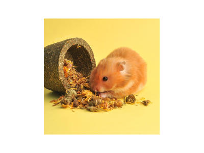 Little one flower bowl, 120 g