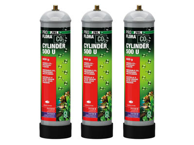 JBL proflora co2 cylinder 500 U 3x500g,