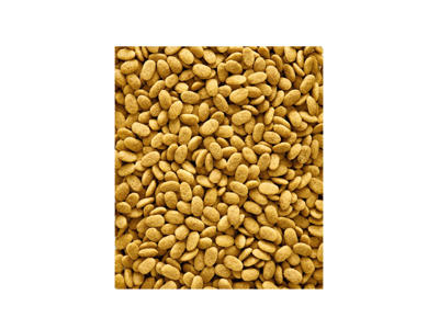 Nutribird P15 original 1kg