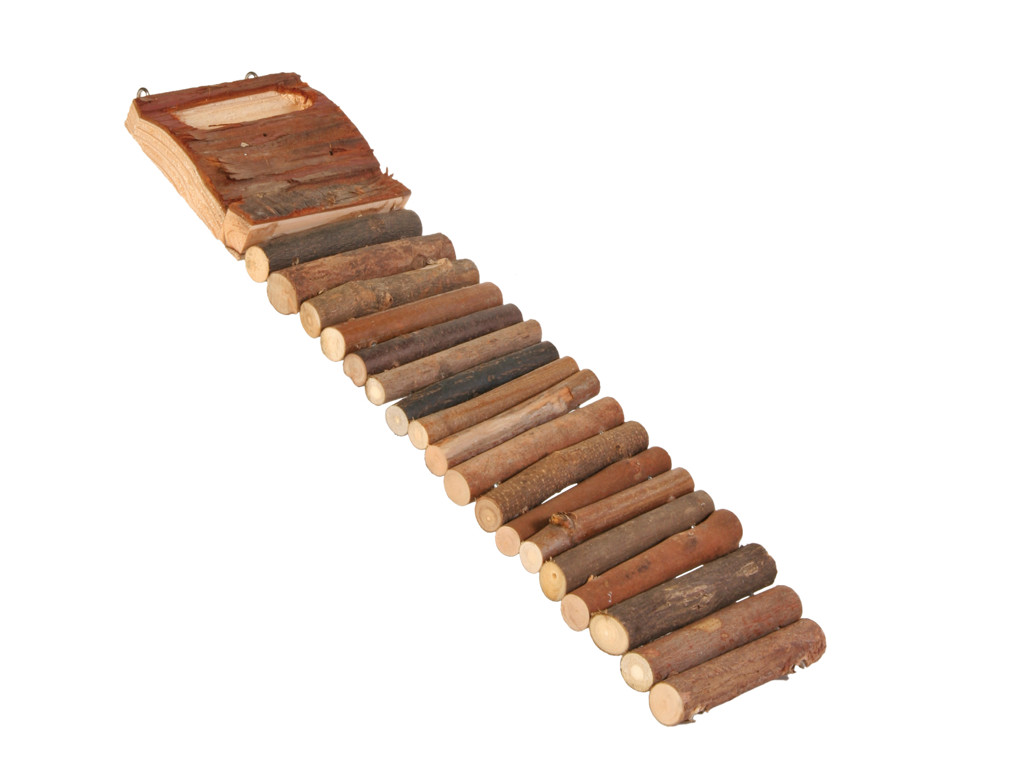 Hamsterstige træ 20 trin 27,5