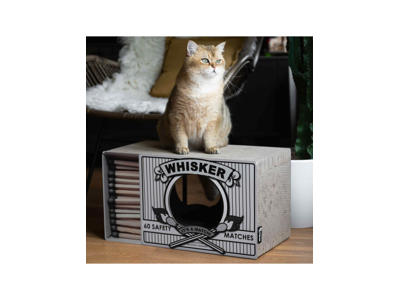 District 70 whisker hvis 