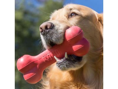 Kong goodie bone S 13x4,5x3 cm 