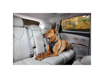 Kurgo tru-fit strength sele XL, sort