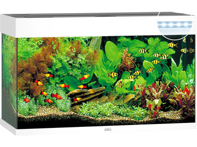 JUWEL RIO 125 LED AKVARIE HVID