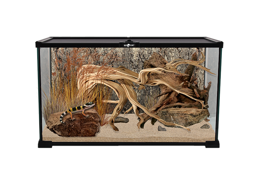 Terrarium 50,5x30,5x25cm