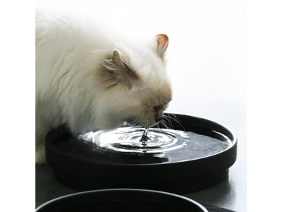 D&D CAT Keramisk Drikkeskål (L) ACE Ø20 cm. Sort