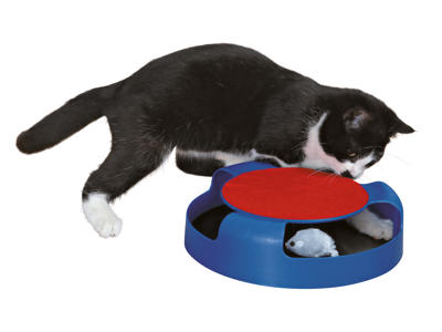 Catch the Mouse ø 25