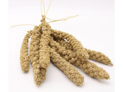 Vita Nature Hirse 300g