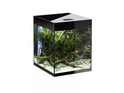 Glossy akvarie cube 50x50x63 132 ltr sort
