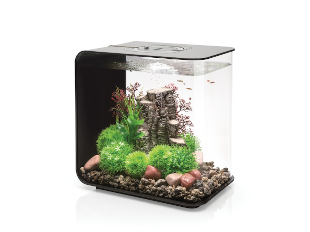 biOrb FLOW 30 MCR Sort – Komplet Designakvarium med LED Lys (30 Liter)
