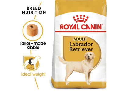 BHN Labrador Retriever 12 KG