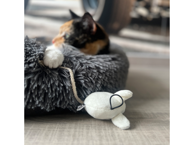 D&D CAT Kattelegetøj MOOSY 2 stk