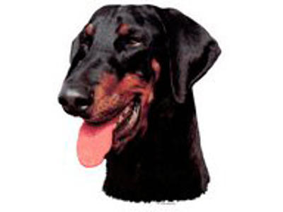 KW DOBBERMANN 8 CM / 4 STK