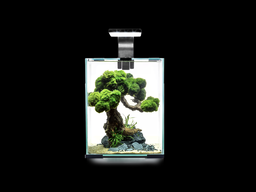 Rejeakvarie 19 l D/N  -sort