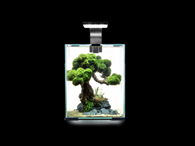 Rejeakvarie 19 l D/N  -hvid