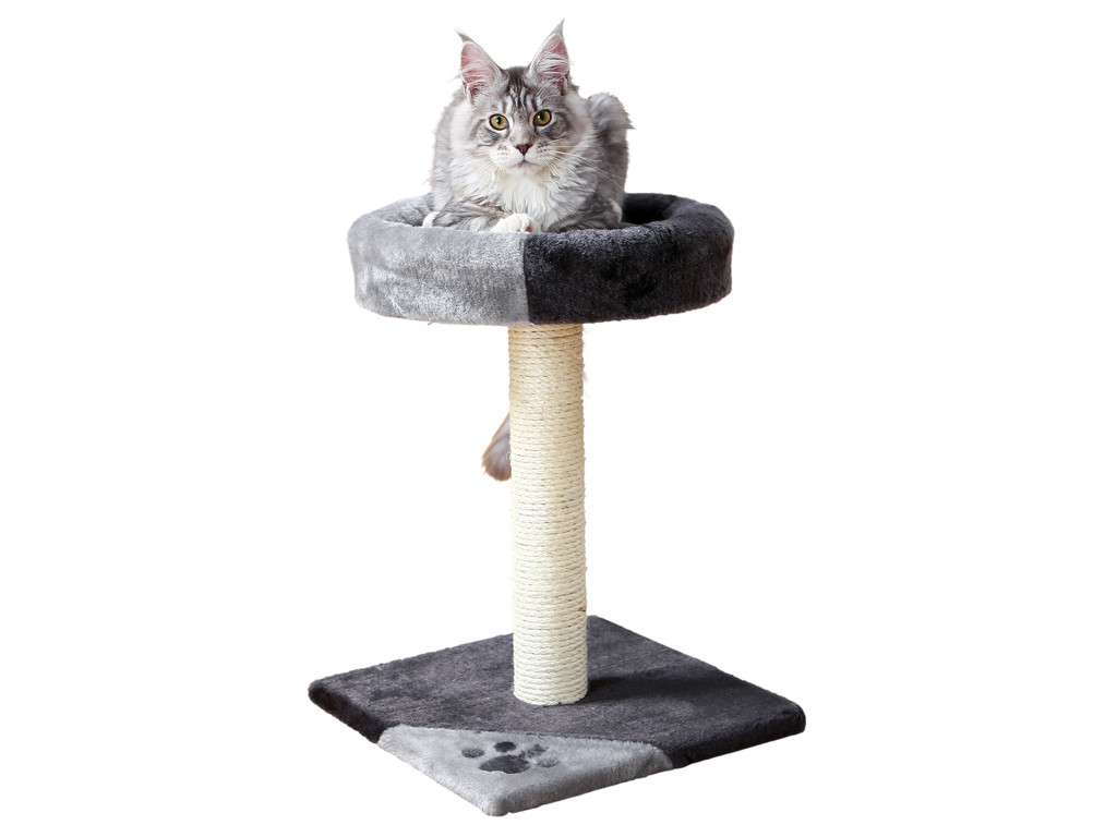 Kattemiljø Tarifa 52cm grå/s