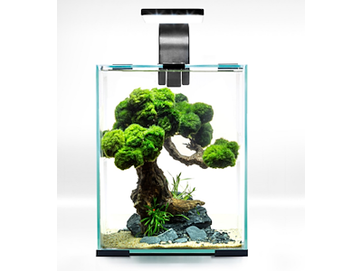 Rejeakvarie 10liter D/N - sort