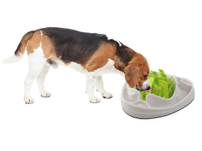 Dog Slow feeder
