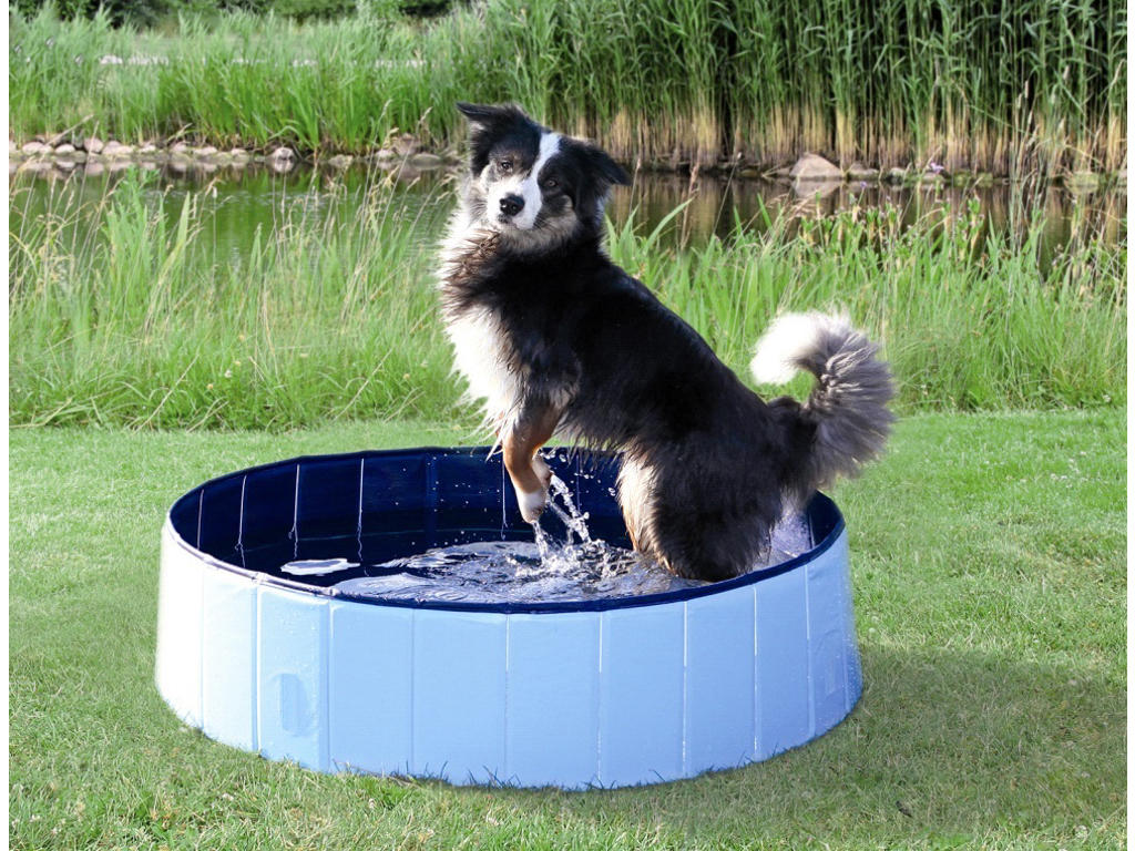 Dog Pool, ø 120 x 30 cm, lys blå/blå