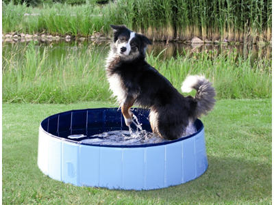 Dog Pool, ø 120 x 30 cm, lys blå/blå