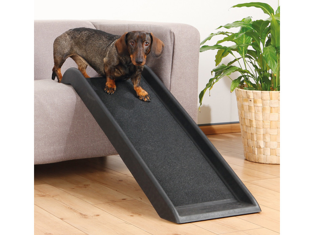 Rampe til hunde, 38 × 100 cm, sort