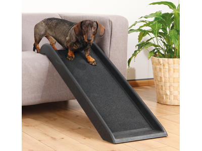 Rampe til hunde, 38 × 100 cm, sort