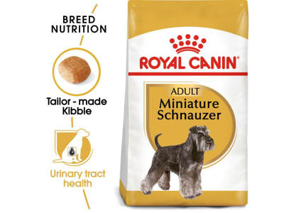 BHN Miniature Schnauzer 7,5 KG