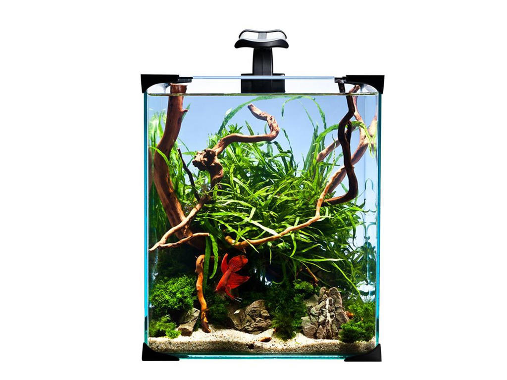 NanoLED 20 akvarie 25x25x30 cm. 19 ltr.
