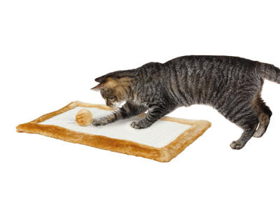 Kradsemåtte plyds 55x35cm brun