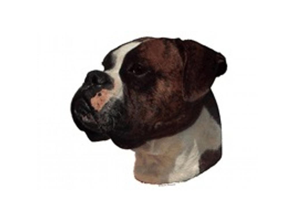 BOXER MINI DEKAL PS/4
