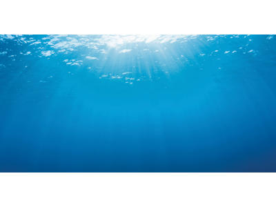 Poster 2 XL Baggrund