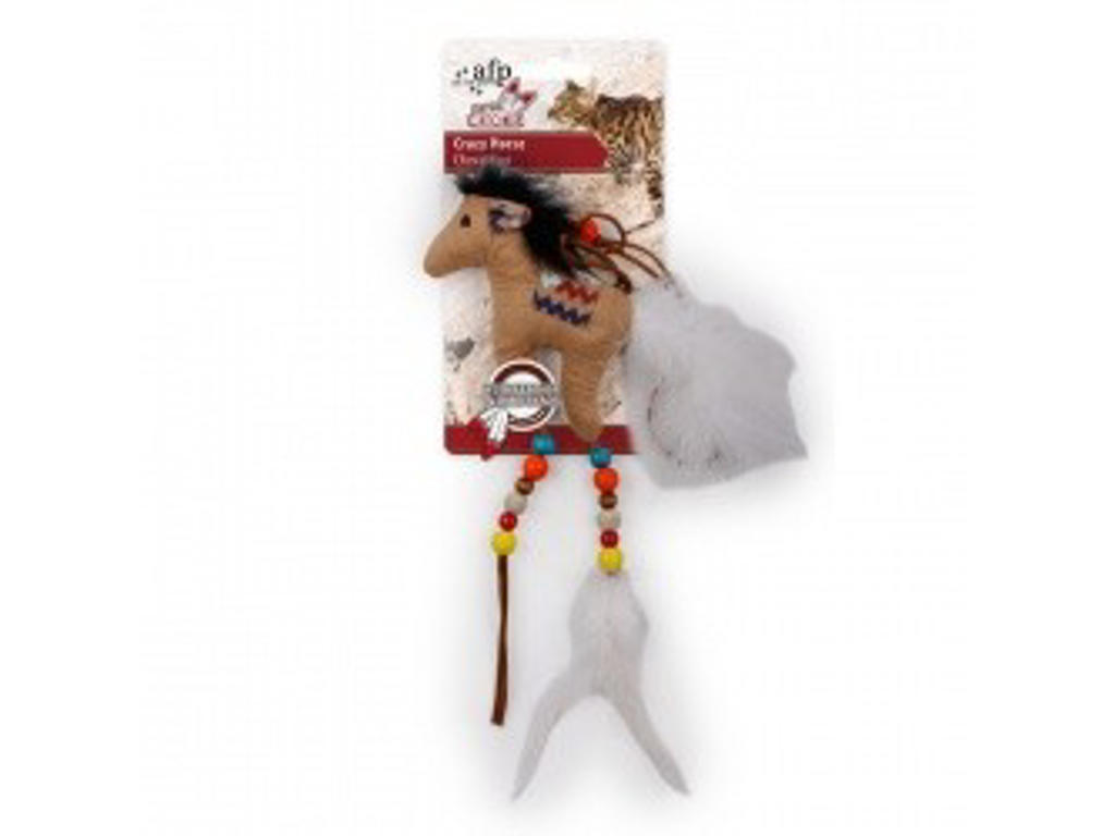 Dream Catcher / Crazy Horse