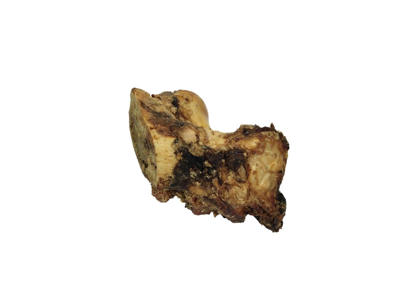 Okseknogle savet ks. á 20 stk. tørret foliepakket