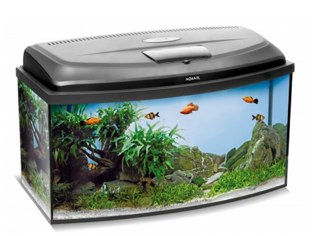 Aqua 4 family 102L oval