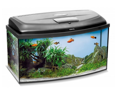 Aqua 4 family 102L oval