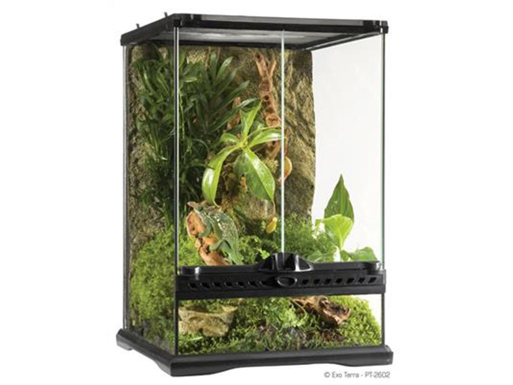 ExoTerra terrarium 30 x 30 x 45 cm.