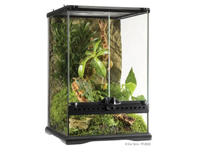 ExoTerra terrarium 30 x 30 x 45 cm.