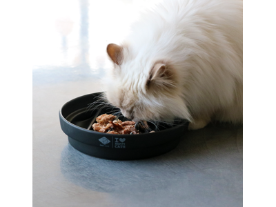 D&D CAT SUE- Slow Feeder "WAVE" Ø20 cm