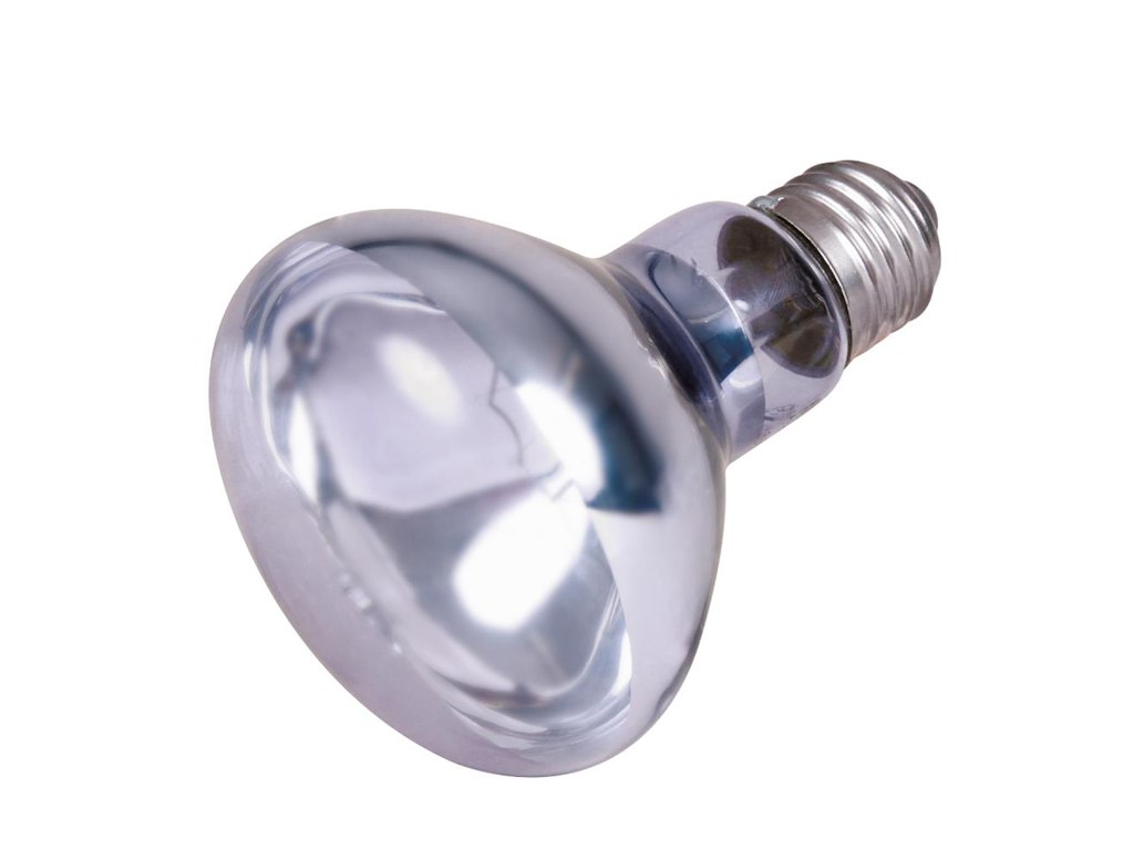 Trixie Neodyme Varmepære 100 W – Ø 80 × 108 mm